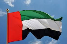 Dubai Flag